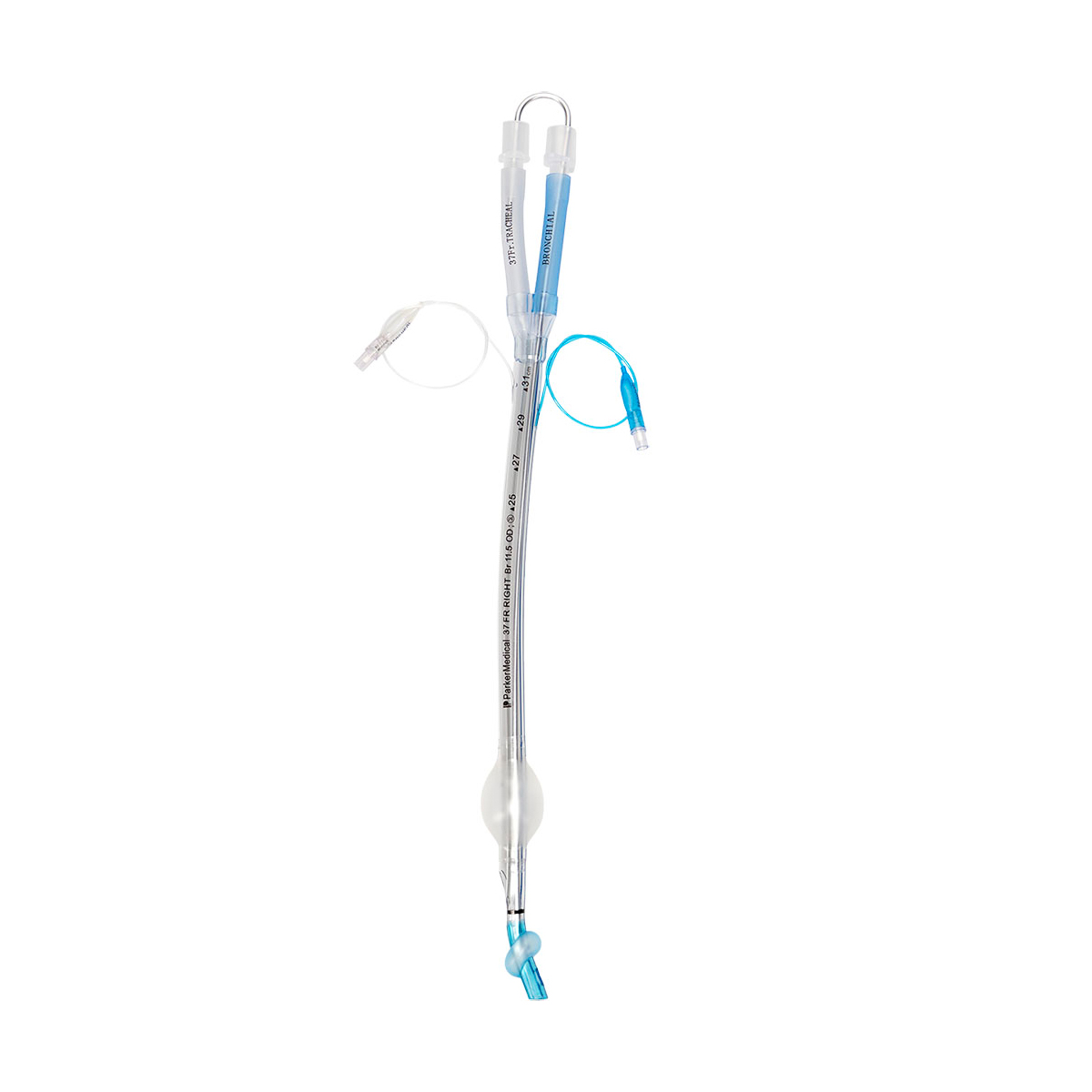 Medicinsk dobbelt-lumen trachealtube i klar plast med blå og gennemsigtige komponenter.