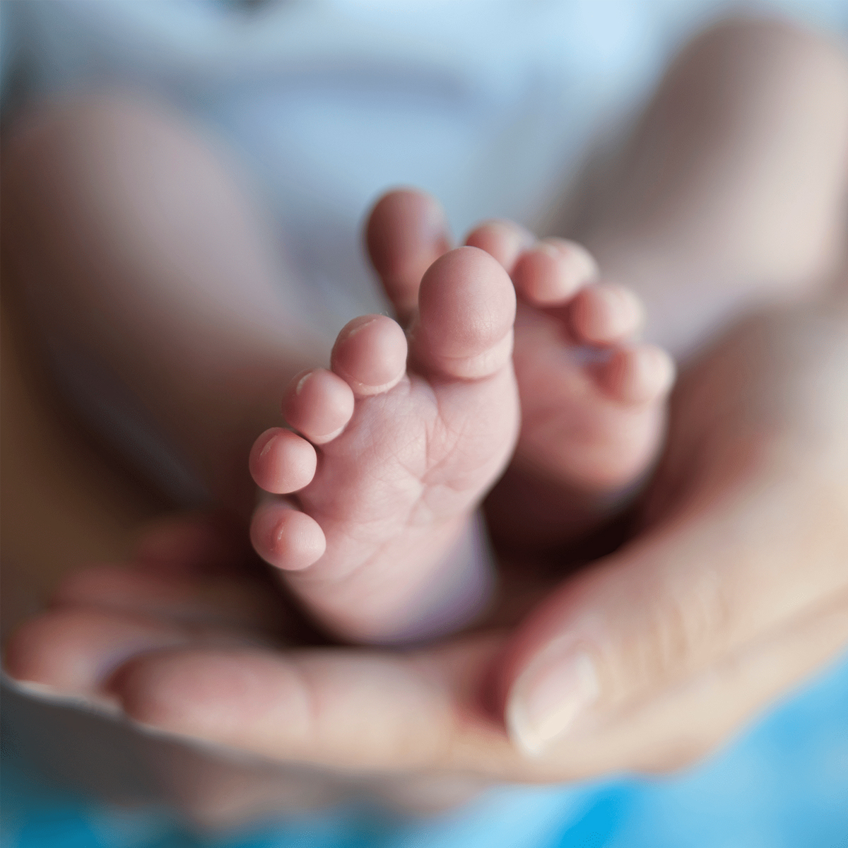 Babyfødder hviler i en voksens hænder, nærbillede, blødt og kærligt fokus.